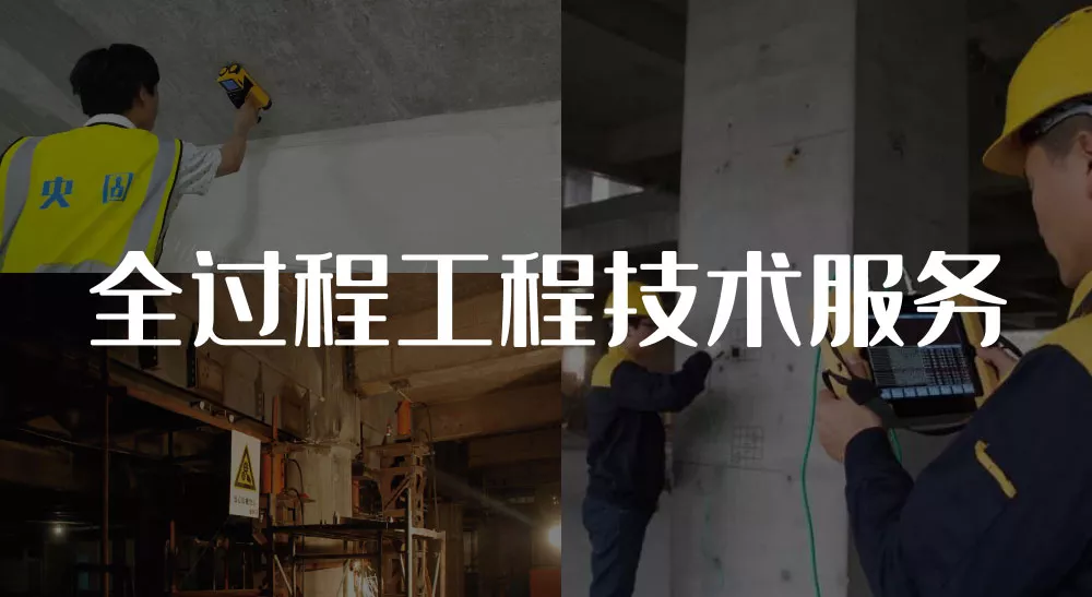 全过程工程技术服务